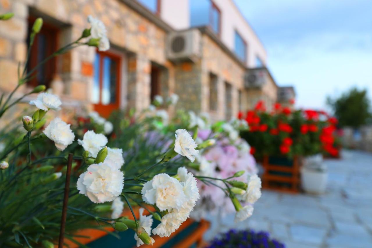 Vlorë Vila Dena מראה חיצוני תמונה