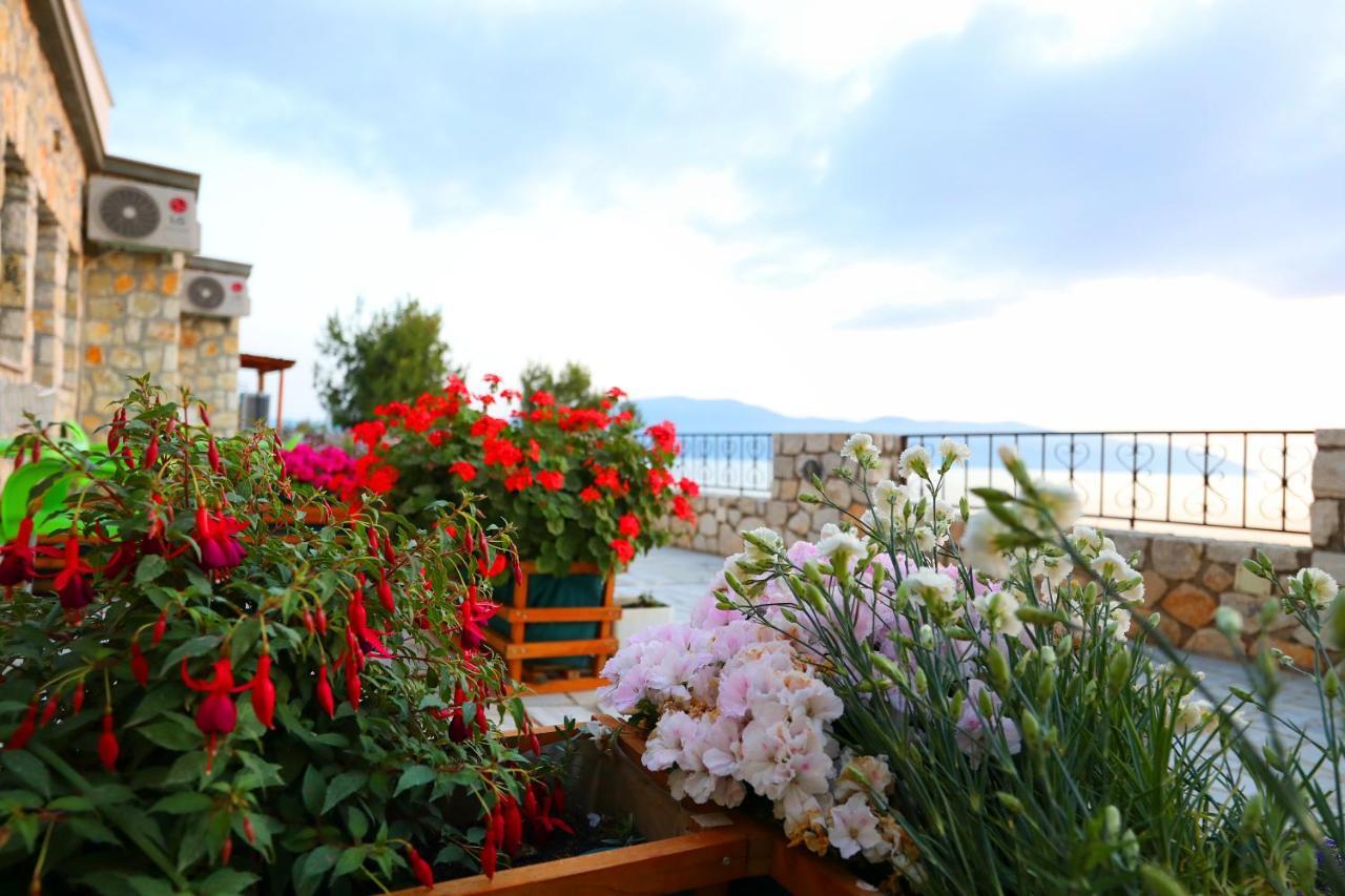 Vlorë Vila Dena מראה חיצוני תמונה