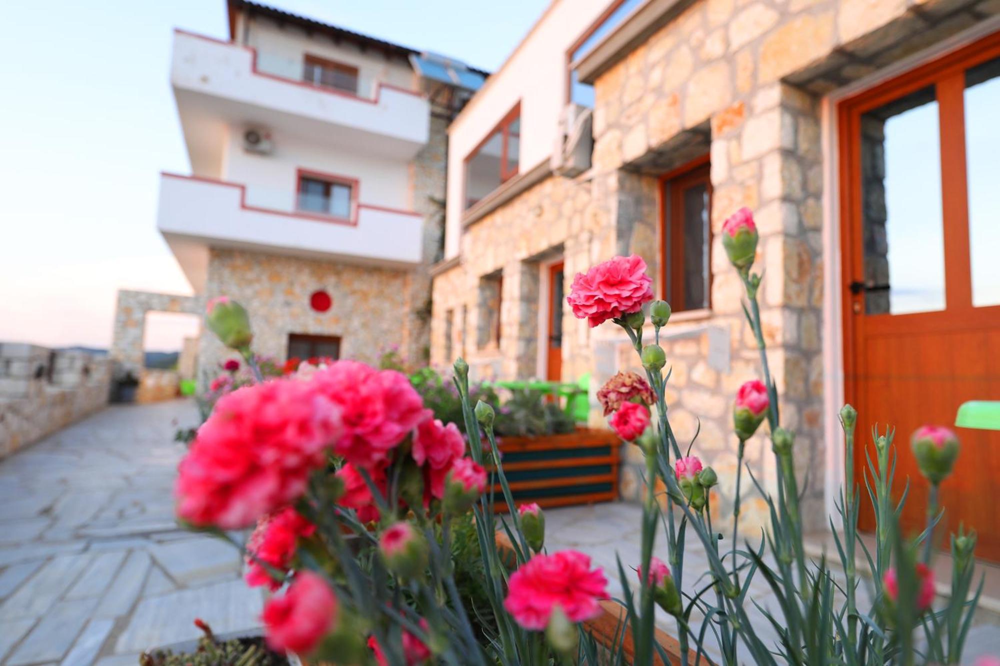 Vlorë Vila Dena מראה חיצוני תמונה